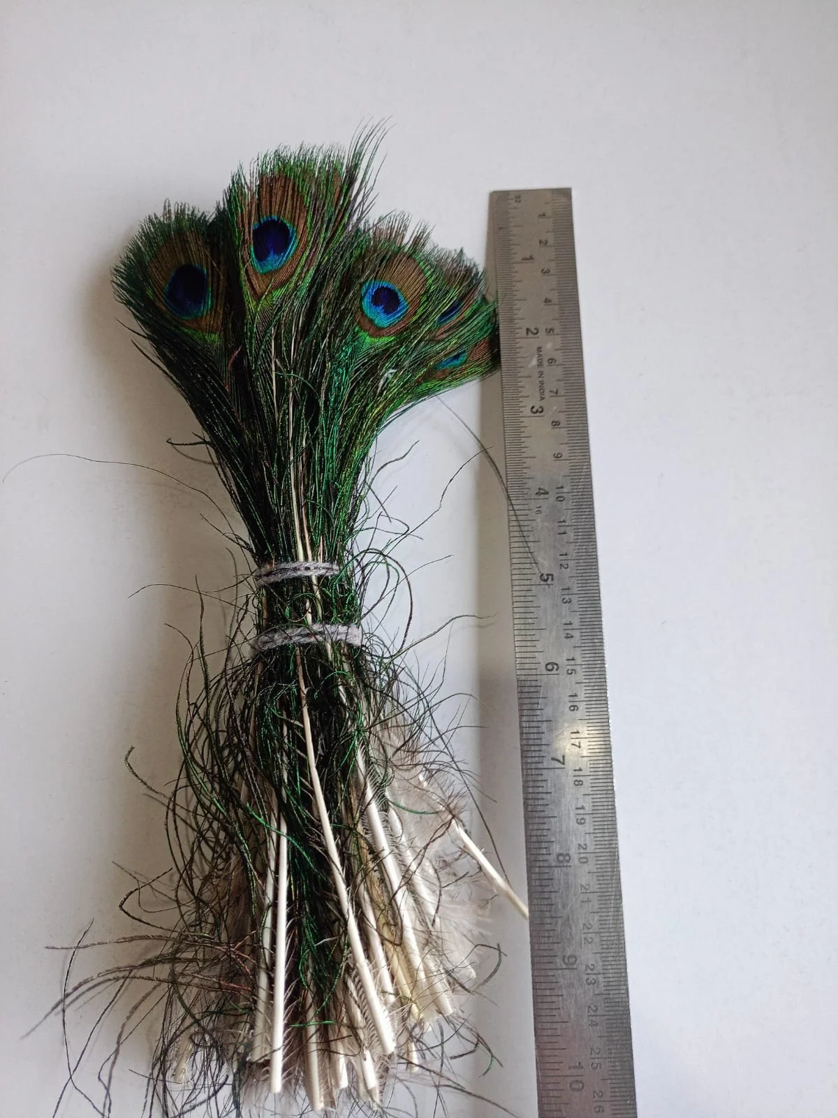 Peacock Feather Big /Min.Qty-12 Pcs