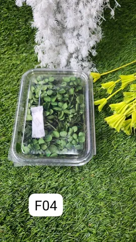 HYDRA FLOWERS YELLOW GREEN SNE Min. Qty. – 12 PCS