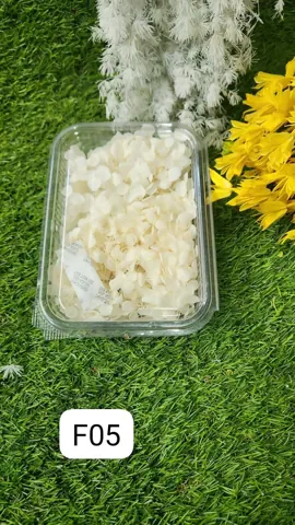 HYDRA FLOWERS WHITE SNE