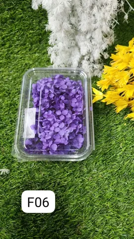 HYDRA FLOWERS PURPLE SNE