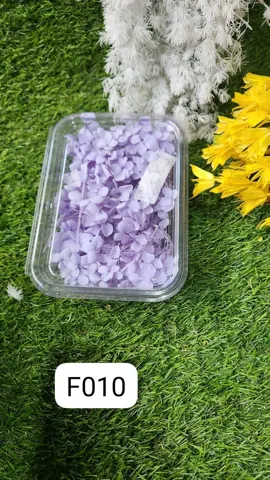HYDRA FLOWERS LIGHT VIOLET SNE