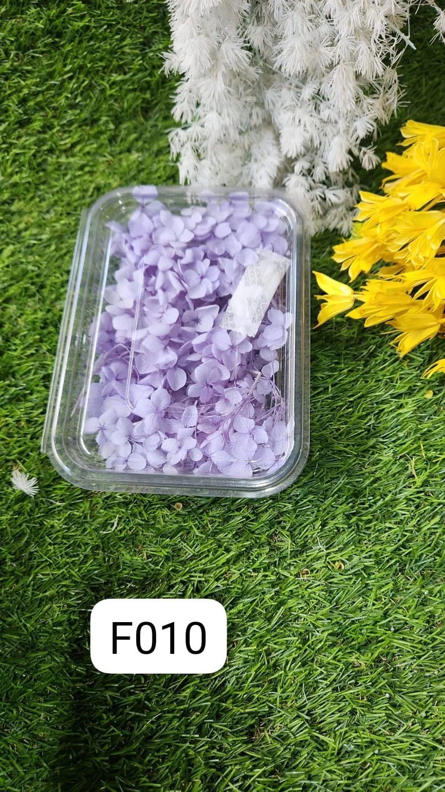 HYDRA FLOWERS LIGHT VIOLET SNE Min. Qty. – 12 PCS