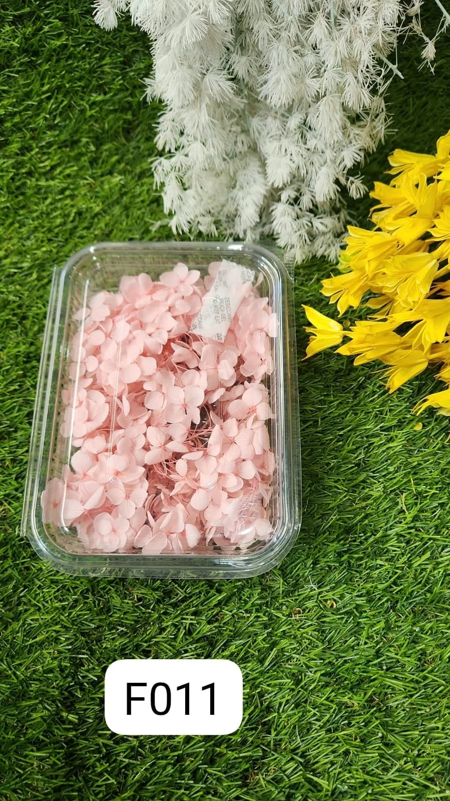 HYDRA FLOWERS PEECH Min. Qty. – 12 PCS
