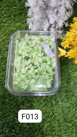 HYDRA FLOWERS PISTA GREEN SNE