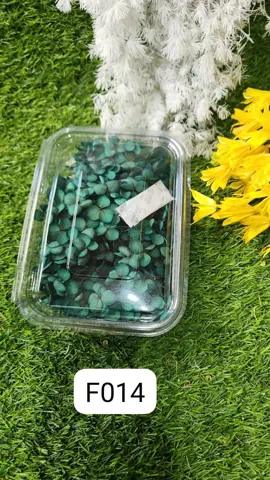 HYDRA FLOWERS GREEN SNE