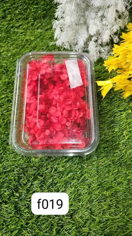 HYDRA FLOWERS RED SNE