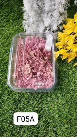 ZIPSSY FLOWERS LIGHT PINK JO