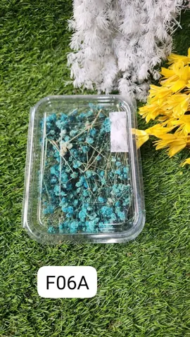 ZIPSSY FLOWERS BLUE JO