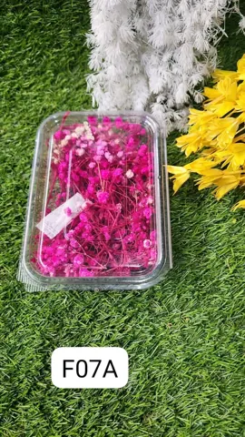 ZIPSSY FLOWERS DARK PINK JO