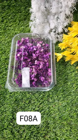 ZIPSSY FLOWERS PURPLE JO