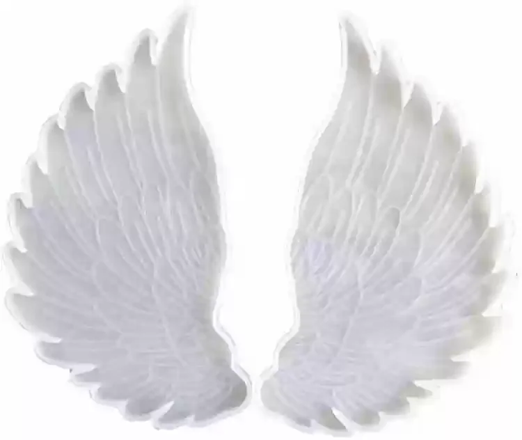 Wings mould 4mm depth min qty 12pcs