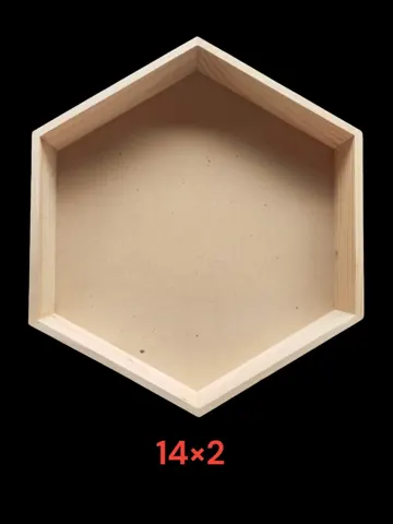 WNTL14 D 14 inch hexagone tray