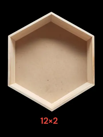 WNTL 14 C 12inch HexagoneTray