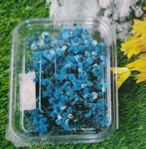 Natural Flower Zippsy Dark Blue Qyt – 12pcs