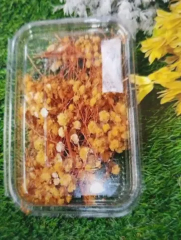 Natural Flower Zippsy Orenge