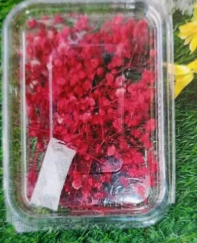 Natural Flower Zipssy Red
