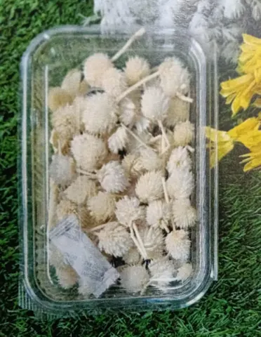Natural flower off white