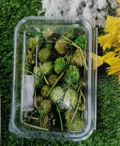 Natural flower green