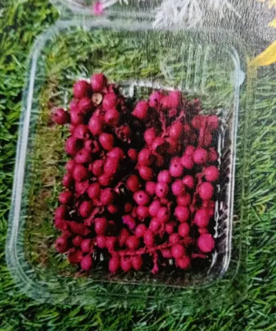 Natural flower cherry pink