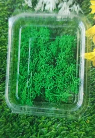 natural flower dark green moss