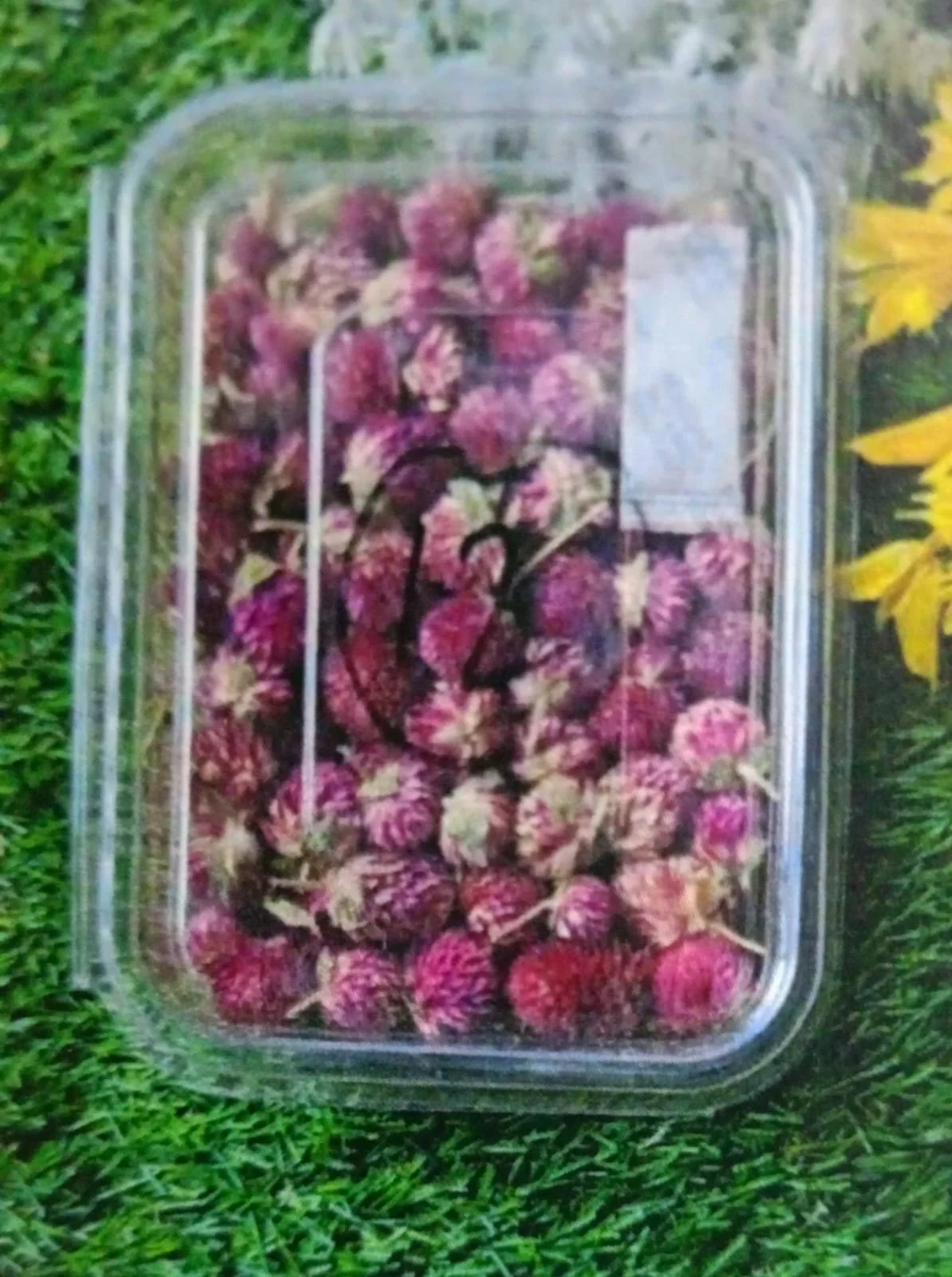 Natural flower pink QTY-min 12 pcs