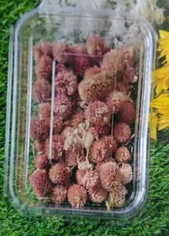 Natural flower light red