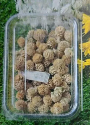 Natural flower cream colour