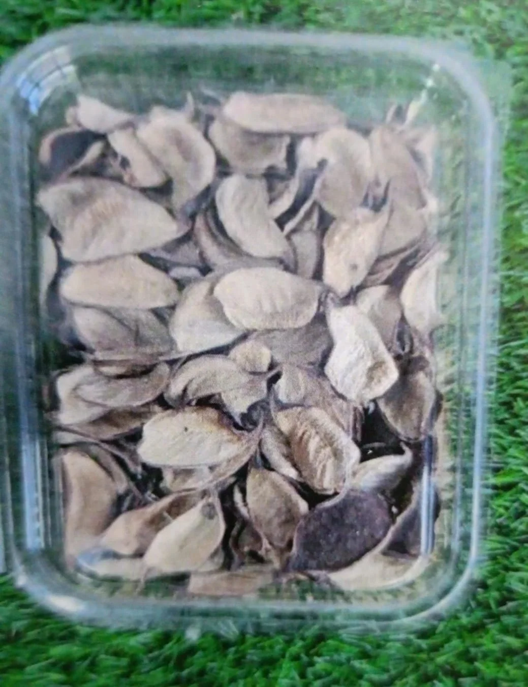 Natural flower cotton chips QTY-min 12 pcs