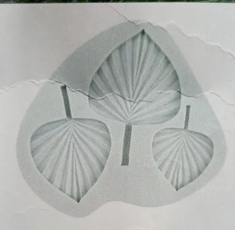 White leaf 3 cavity mould size-14.5*13*1.1