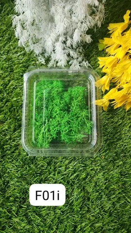 GREEN Moss Dark Green