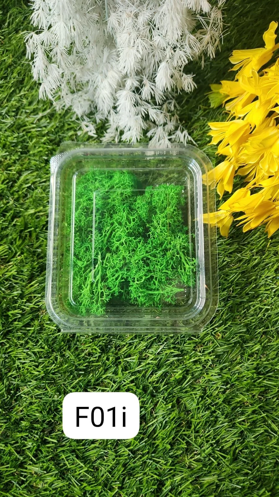 GREEN Moss Dark Green Min Qty 12pcs