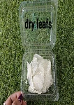 Dry Leaf WHITE colour 25 Pcs 1box