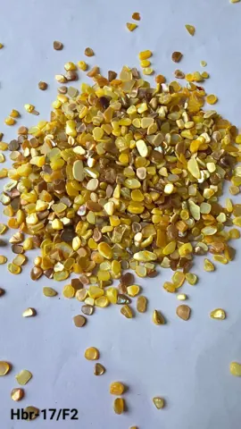 17/F2 Nucleous stone dark yellow