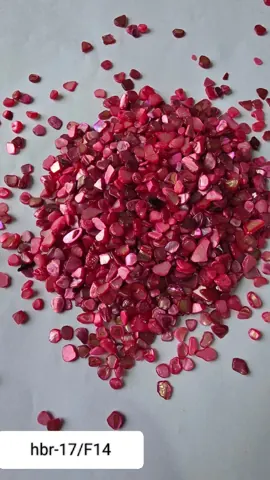 HBR17-F/14 Nucleous stone 450 gm pkt
