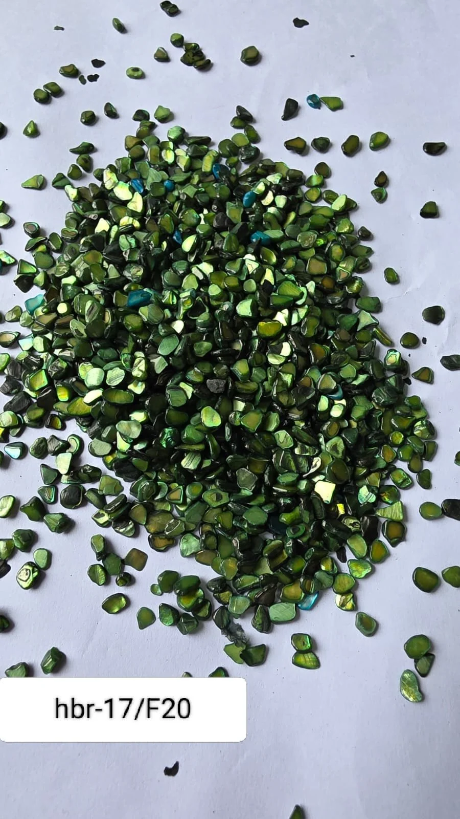 HBR17-F/20 Nucleous stone 450 gm