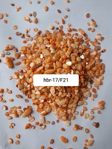 HBR17-F/21 Nucleous stone