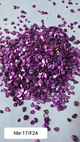 HBR17-F/24 Nucleous stone 450 gm