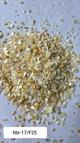 HBR17-F/25 Nucleous stone 450gm