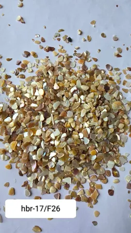 HBR17-F/26 Nucleous stone 450 gm