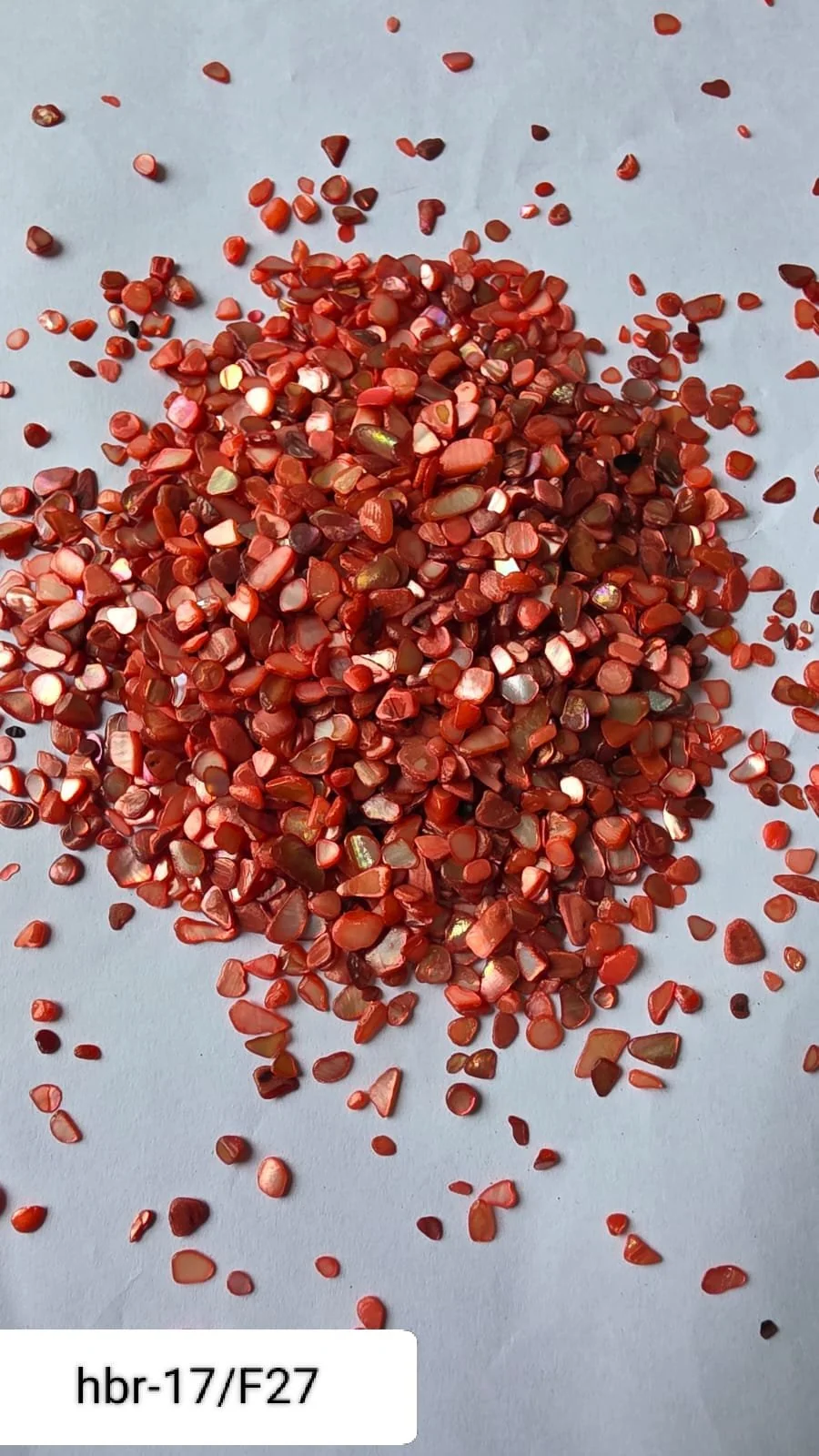 HBR17-F/27 Nucleous stone 450 gm