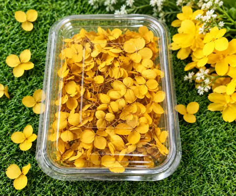 Dried Natural Flowers for Resin Art