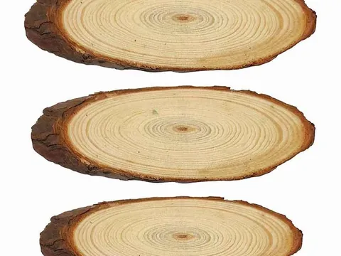Wooden Trays, Slices & Bases